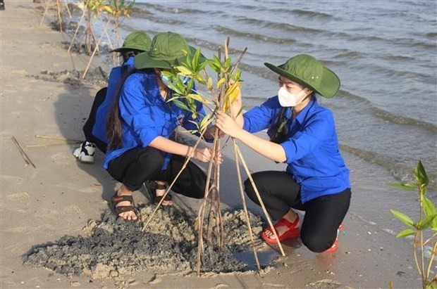 Vietnam Enhances International Cooperation to Realize COP26 Commitments