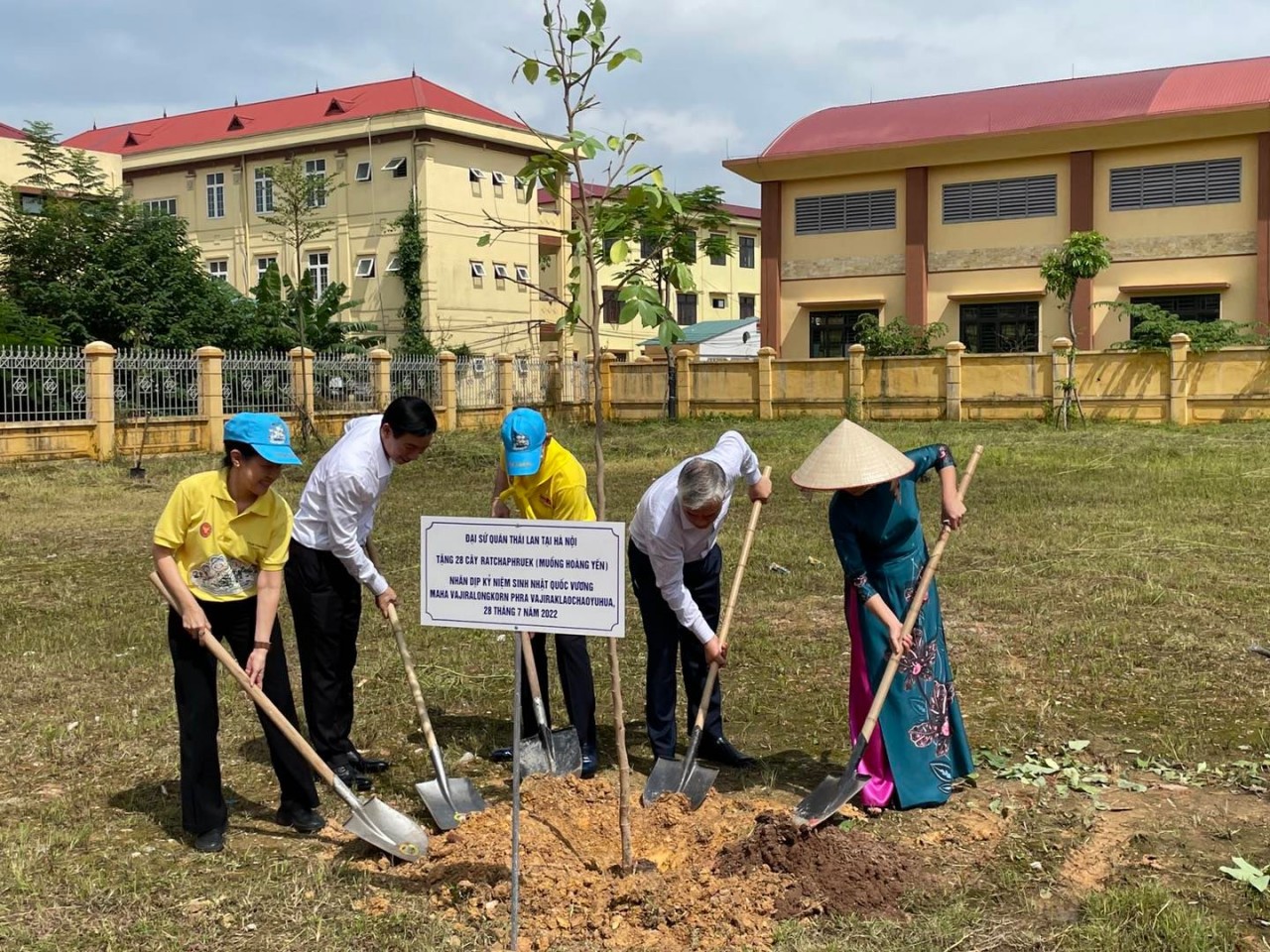 Thailand’s National Flower Trees Planted in Vinh Phuc Province Thailand’s National Flower Trees Planted in Vinh Phuc Province