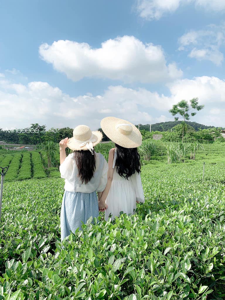 Top Attractive Destinations in Thai Nguyen Top Attractive Destinations in Thai Nguyen