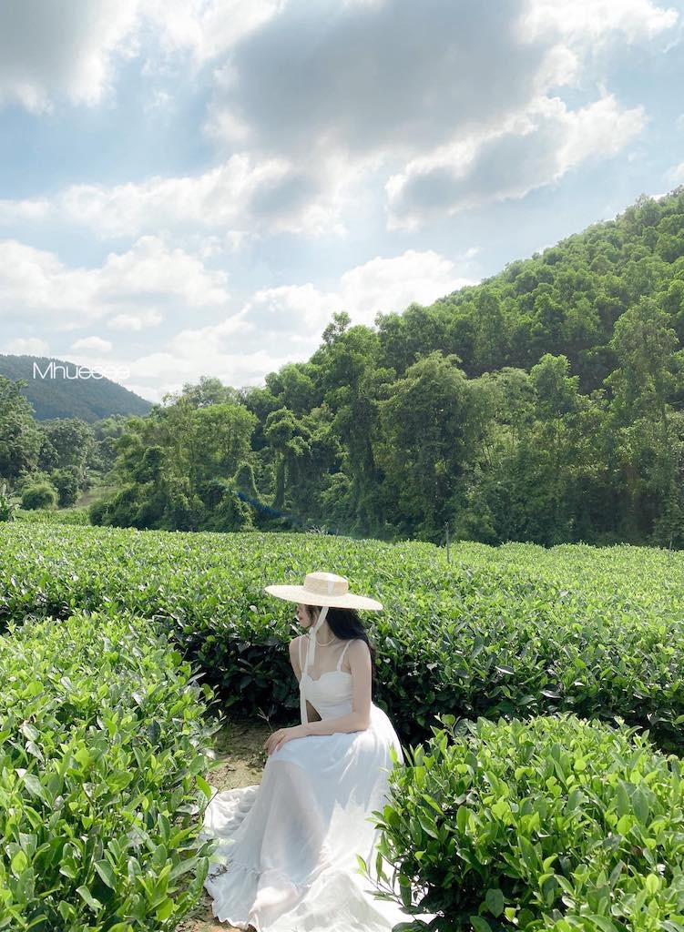 Top Attractive Destinations in Thai Nguyen Top Attractive Destinations in Thai Nguyen