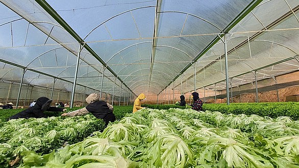 Lac Duong, the Land to Experience Lac Duong, the Land to Experience