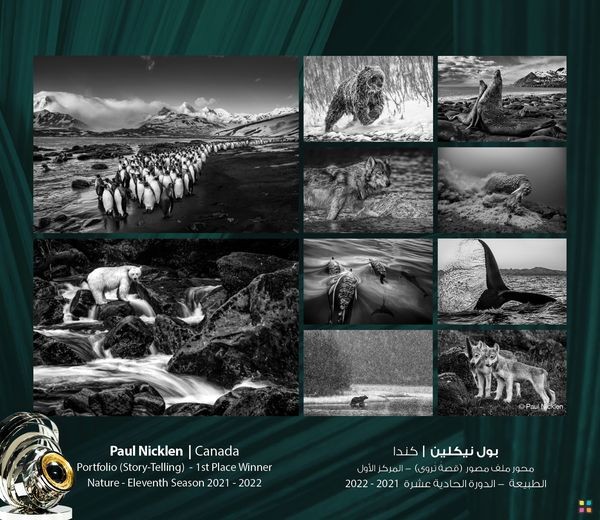 Vietnamese Photographer Wins First Prize at UAE-based Global Award Vietnamese Photographer Wins First Prize at UAE-based Global Award