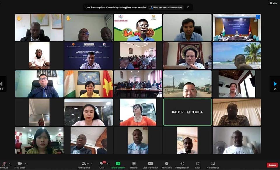 Promoting Investment of Ivory Coast in Vietnam