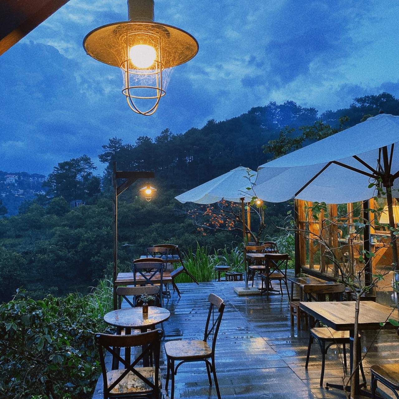 Da Lat's Coziest Cafes and Eateries For Rainy Days Da Lat's Coziest Cafes and Eateries For Rainy Days