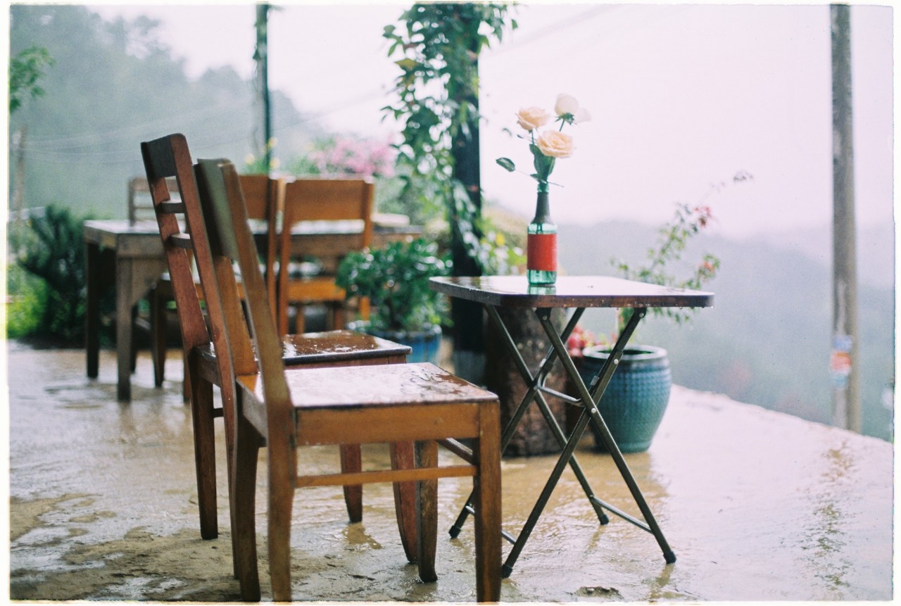 Da Lat's Coziest Cafes and Eateries For Rainy Days Da Lat's Coziest Cafes and Eateries For Rainy Days