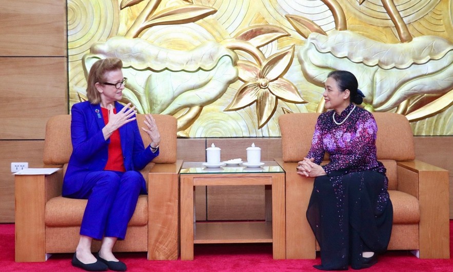 VUFO Presents Friendship Medal to UNDP Resident Representative in Vietnam Caitlin Wiesen VUFO Presents Friendship Medal to UNDP Resident Representative in Vietnam Caitlin Wiesen