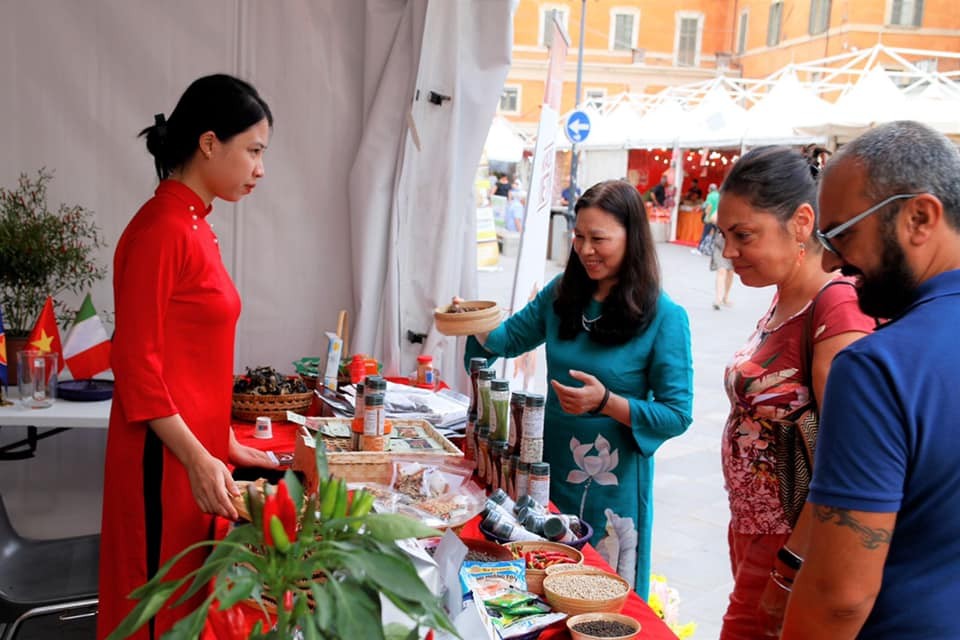 with tropical weather and diverse ecosystems, Vietnam is rich in spices, including many very special and popular flavours such as cinnamon, anise, pepper, cardamom, cashew and chili. with tropical weather and diverse ecosystems, Vietnam is rich in spices, including many very special and popular flavours such as cinnamon, anise, pepper, cardamom, cashew and chili.