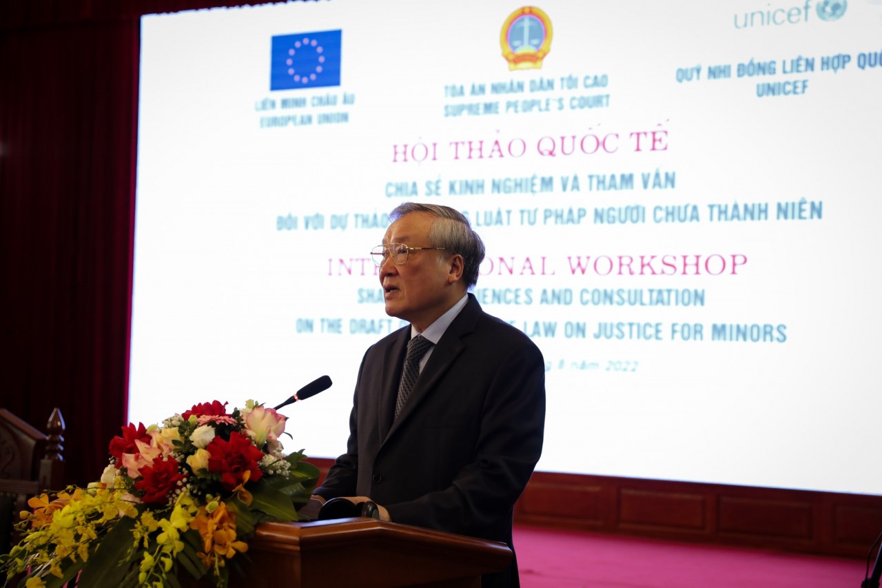 Chief Justice Nguyen Hoa Binh speaks at the event. Source: UNICEF Vietnam Chief Justice Nguyen Hoa Binh speaks at the event. Source: UNICEF Vietnam