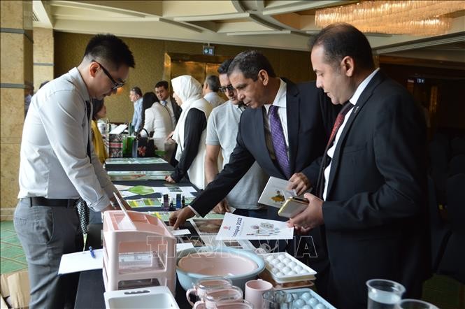 Vietnam, Egypt to Tighten Business Cooperation Vietnam, Egypt to Tighten Business Cooperation