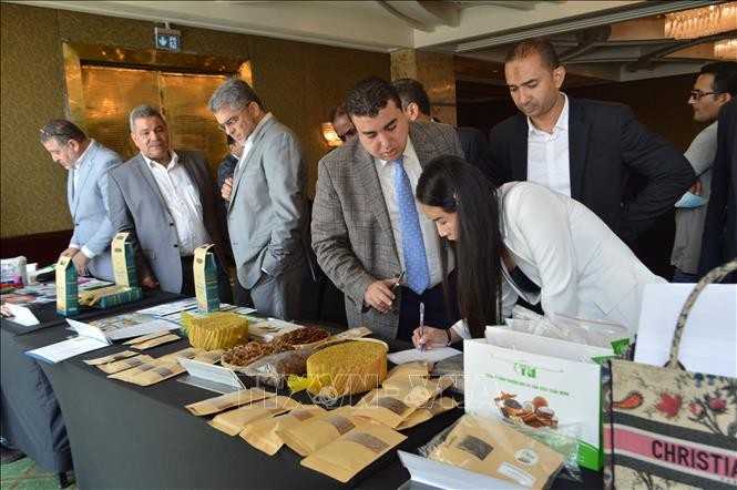 Vietnam, Egypt to Tighten Business Cooperation Vietnam, Egypt to Tighten Business Cooperation