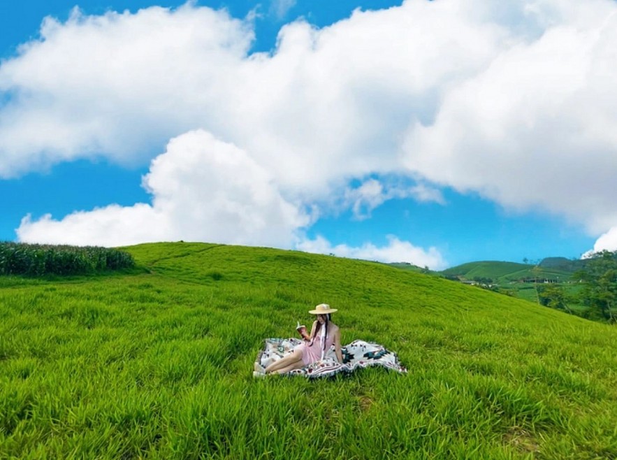 Stunning Grassland Like Windows Wallpaper In Son La Stunning Grassland Like Windows Wallpaper In Son La