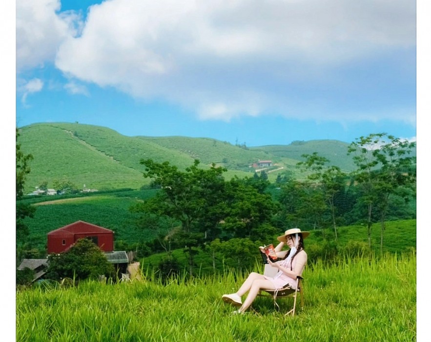 Stunning Grassland Like Windows Wallpaper In Son La Stunning Grassland Like Windows Wallpaper In Son La