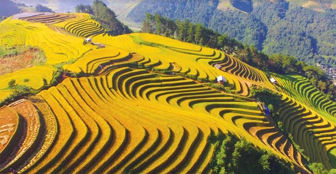 Photo: Bao Yen Bai Photo: Bao Yen Bai