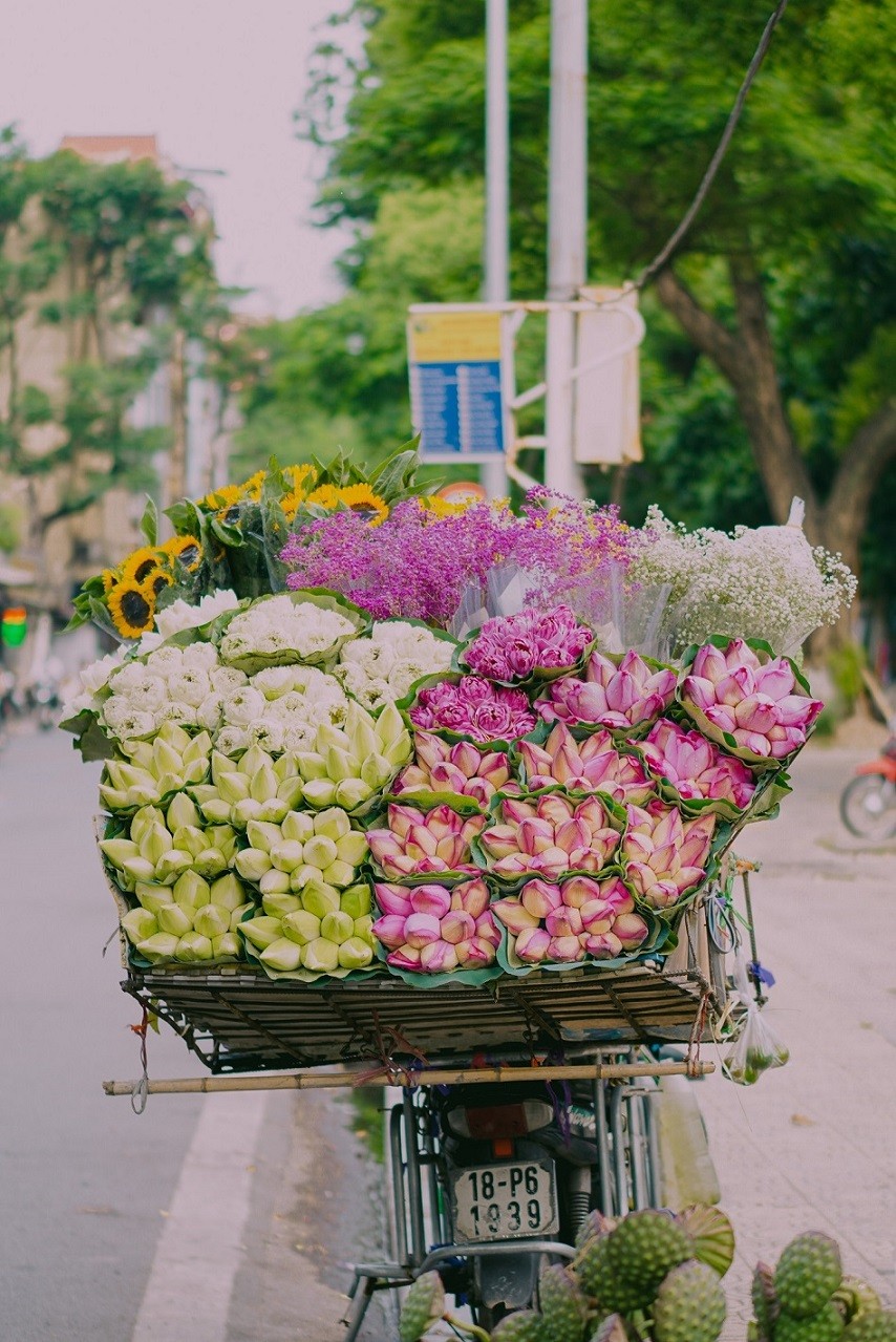 Canadian Travel Magazine: Ho Chi Minh City - The Most Beautiful City in Vietnam Canadian Travel Magazine: Ho Chi Minh City - The Most Beautiful City in Vietnam
