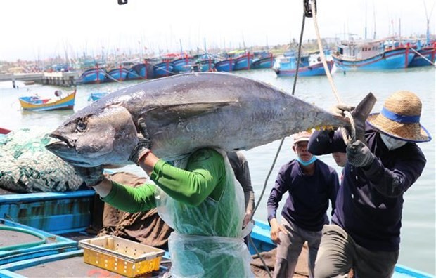 Vietnam Coast Guard Puts More Efforts Into Fighting Illegal Fishing Vietnam Coast Guard Puts More Efforts Into Fighting Illegal Fishing