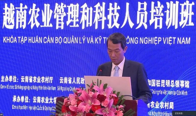 Vietnam News Today (Oct. 28): Vietnam News Today (Oct. 28):
