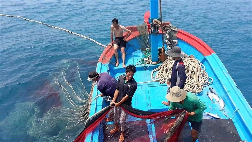 EC Lauds Vietnam’s Drastic Actions in Fighting IUU Fishing EC Lauds Vietnam’s Drastic Actions in Fighting IUU Fishing
