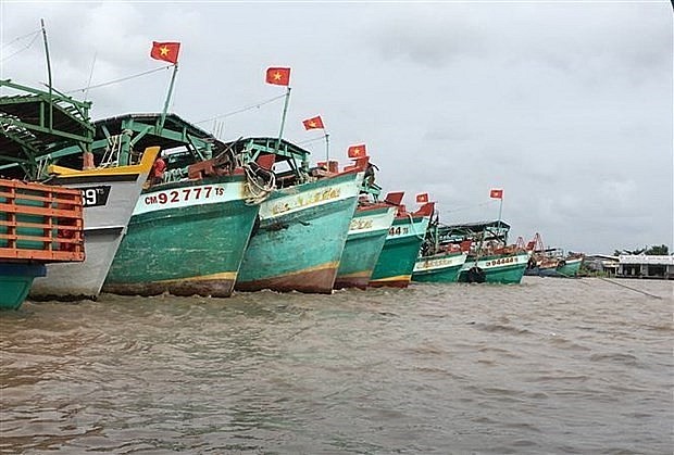 EC Lauds Vietnam’s Drastic Actions in Fighting IUU Fishing EC Lauds Vietnam’s Drastic Actions in Fighting IUU Fishing