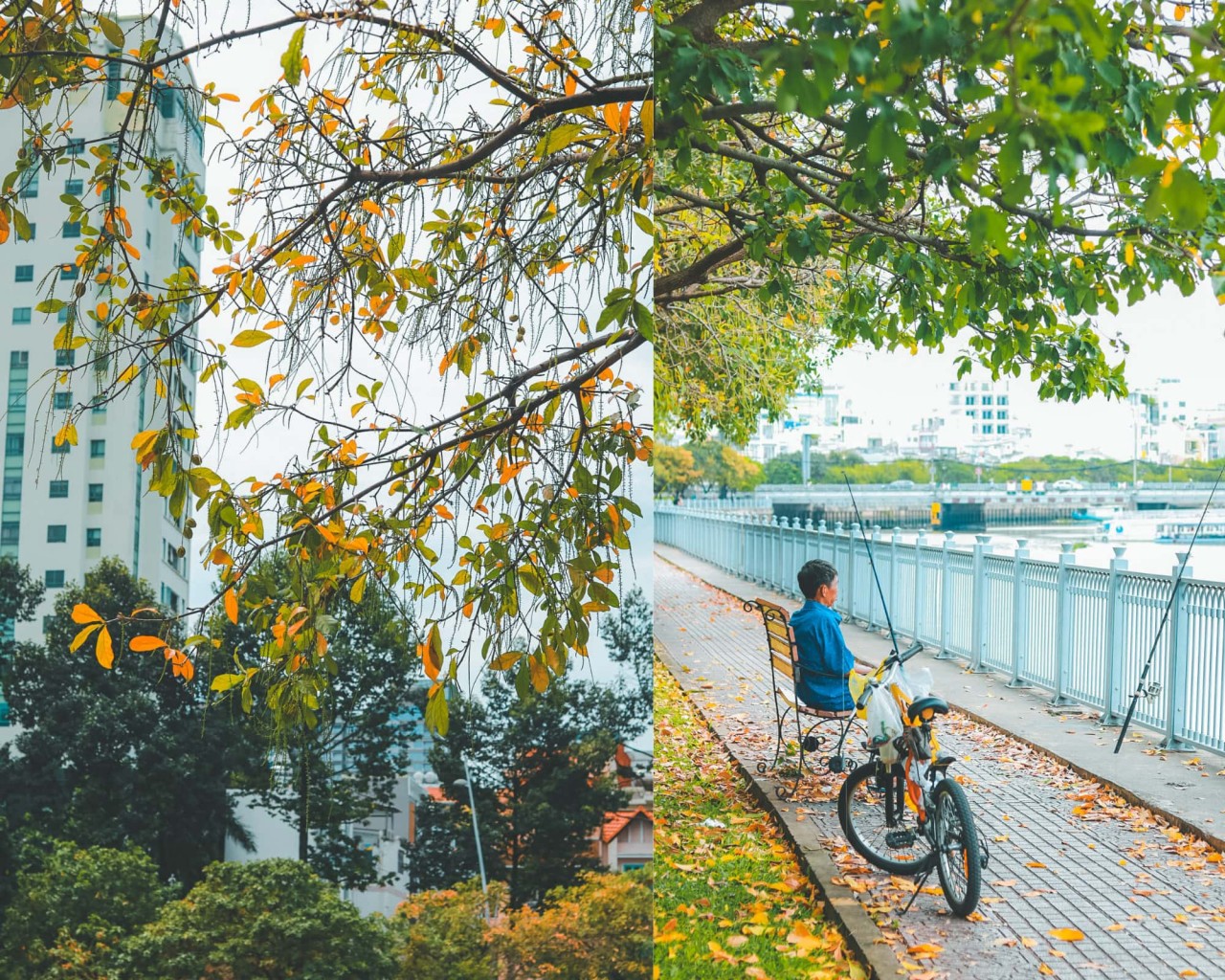 Photo: @minhquan.nguyen/Instagram Photo: @minhquan.nguyen/Instagram