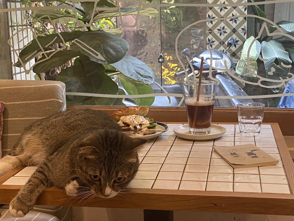 Single Day 11/11: Best Eateries for Singles in Hanoi Single Day 11/11: Best Eateries for Singles in Hanoi