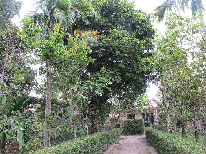 Photo: Visit Hue Photo: Visit Hue