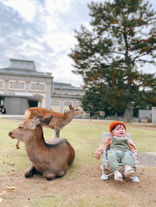 The Adorable Viet Toddler in Japan Adorable Viet Toddler Explores Japan