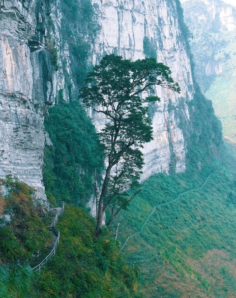 The Must-See Hidden Place in Ha Giang Province Ha Giang's Hidden Treasures