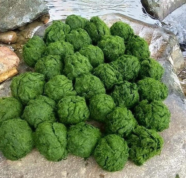 8 wonderful delicacy of Ha Giang Eight Delicacies of Ha Giang