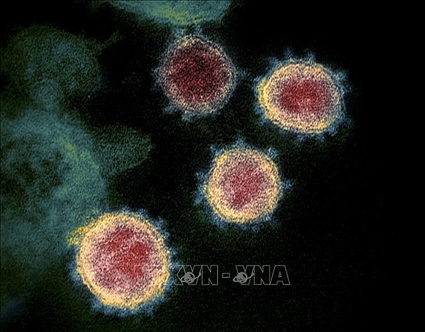 Illustrative image. Source: VNA Illustrative image. Source: VNA