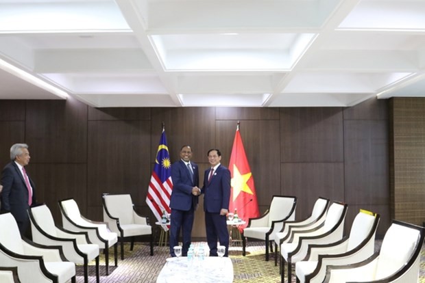 Foreign Minister Bui Thanh Son (R) and Malaysian FM Dato’s Seri Zambry Abdul Kadir. Photo: BNG Foreign Minister Bui Thanh Son (R) and Malaysian FM Dato’s Seri Zambry Abdul Kadir. Photo: BNG