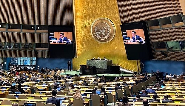 Ambassador Dang Hoang Giang, Permanent Representative of Vietnam to the United Nations, speaks at the plenary. (Photo: VNA)