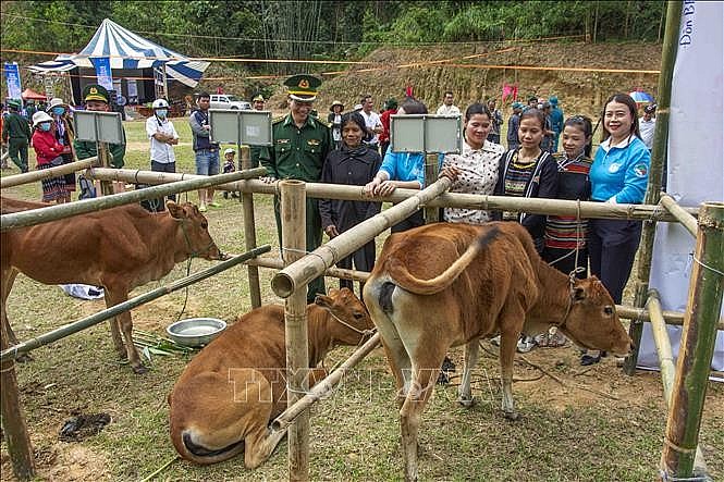 Photo: Cows presented to border residents Photo: Cows presented to border residents