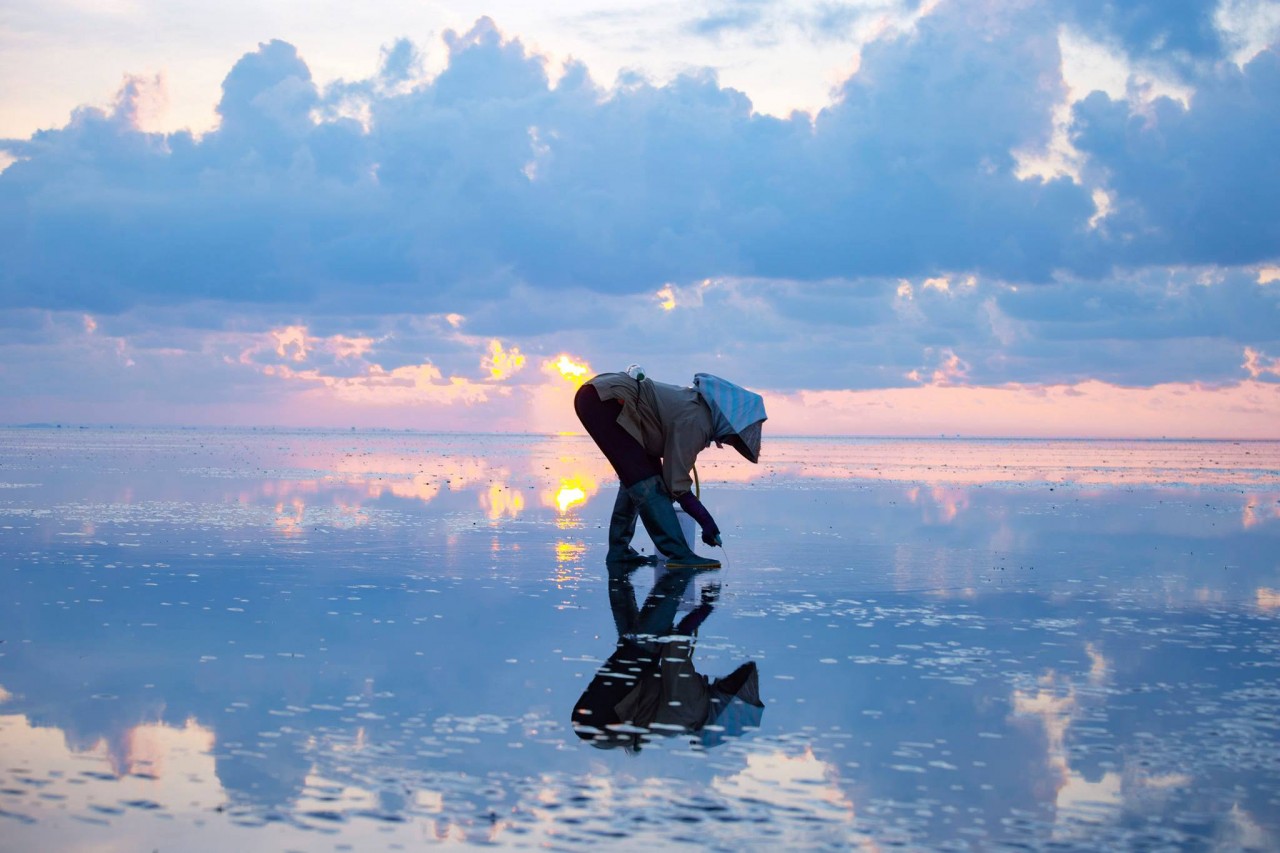 Photo: Vu Thanh Thuy Photo: Vu Thanh Thuy
