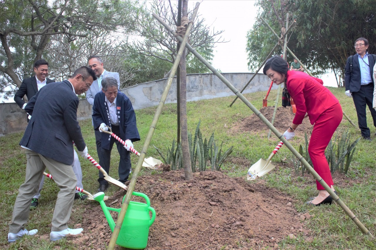 Officials plant cherry blossom trees in Hoa Binh park Officials plant cherry blossom trees in Hoa Binh park
