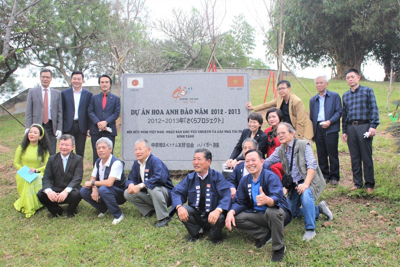 The tree donated project aims to turn Hoa Binh into a well-known cherry blossom park. Photo: VNT The tree donated project aims to turn Hoa Binh into a well-known cherry blossom park. Photo: VNT