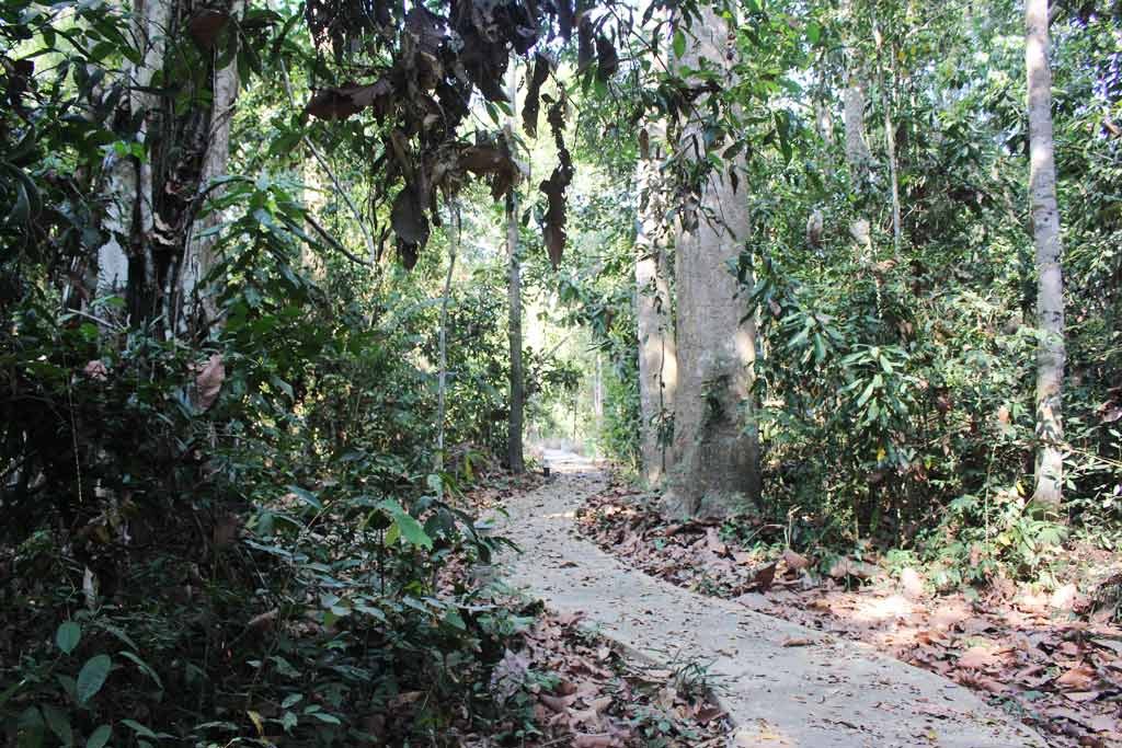 Photo: Tay Ninh Tourism Photo: Tay Ninh Tourism