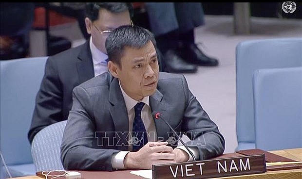 Ambassador Dang Hoang Giang, Permanent Representative of Vietnam to the United Nations. (Photo: VNA) Ambassador Dang Hoang Giang, Permanent Representative of Vietnam to the United Nations. (Photo: VNA)