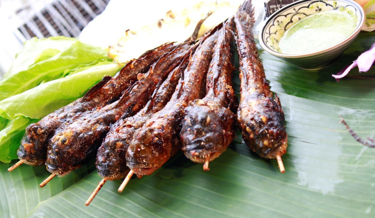 Special Cuisine of The Land Favored by Nature - Ca Mau Special Cuisine of The Land Favored by Nature - Ca Mau