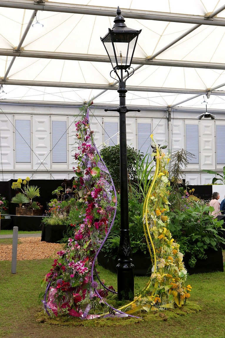 First Vietnamese Expat to Win High Prize at Chelsea Flower Show 2023 First Vietnamese Expat to Win High Prize at Chelsea Flower Show 2023