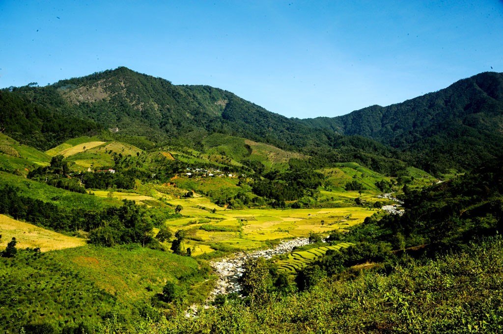 Photo: Huy Dang Photo: Huy Dang