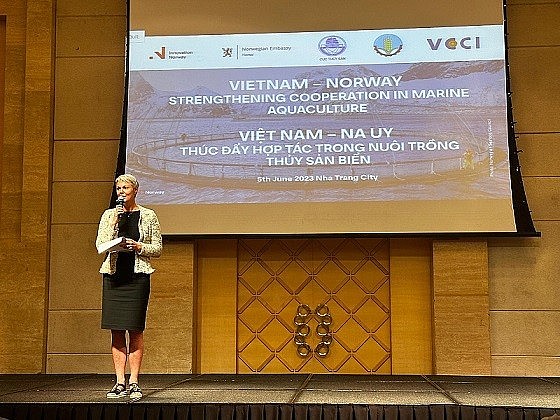 Norwegian Ambassador to Vietnam Hilde Solbakken shared the key success factor behind Norway's story. (Photo: PH) Norwegian Ambassador to Vietnam Hilde Solbakken shared the key success factor behind Norway's story. (Photo: PH)