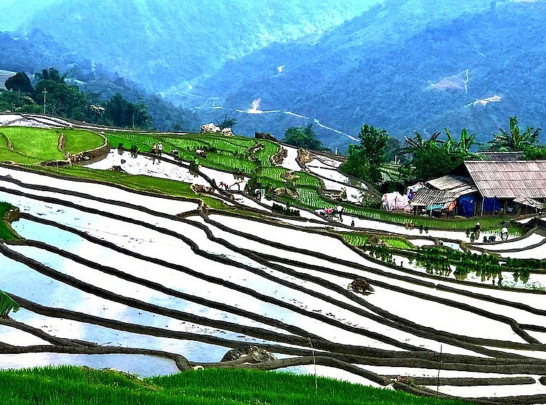 Sapa - An Iconic Destination for Travellers: The Times of India Sapa - An Iconic Destination for Travellers: The Times of India