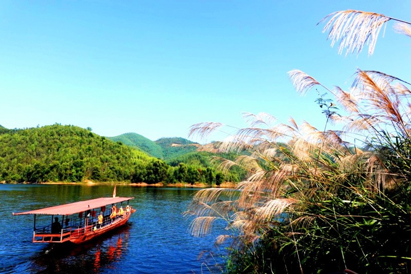 Exciting Night Trip to Lychees Picking in Bac Giang Exciting Night Trip to Lychees Picking in Bac Giang