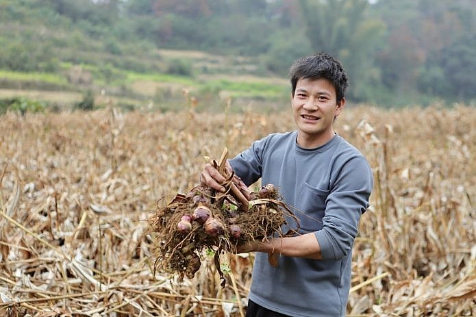 ChildFund Supports Livelihoods for People in Trung Khanh, Cao Bang ChildFund Supports Livelihoods for People in Trung Khanh, Cao Bang
