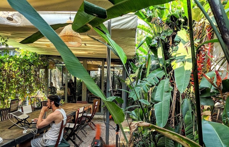 A foreigner work remotely in a café in Hoi An City (Photo: VNA)