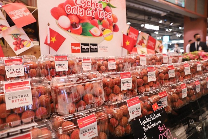 Vietnamese Lychees Hit Thai Supermarket Shelves Vietnamese Lychees Hit Thai Supermarket Shelves