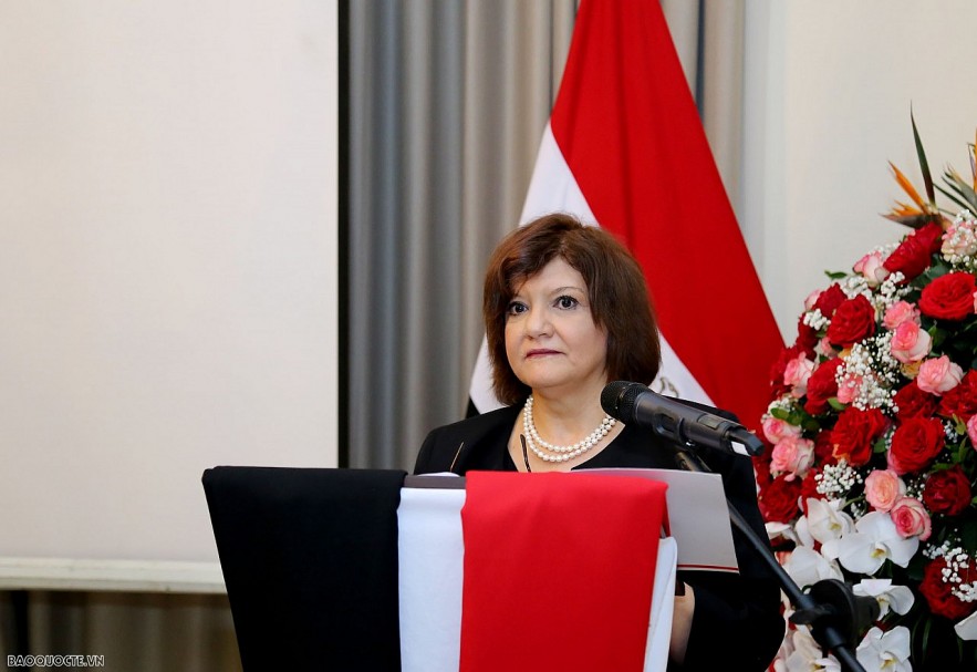Egypt Retains as Vietnam's Leading Trading Partner in North Africa Egypt Remains as Vietnam's Leading Trading Partner in North Africa