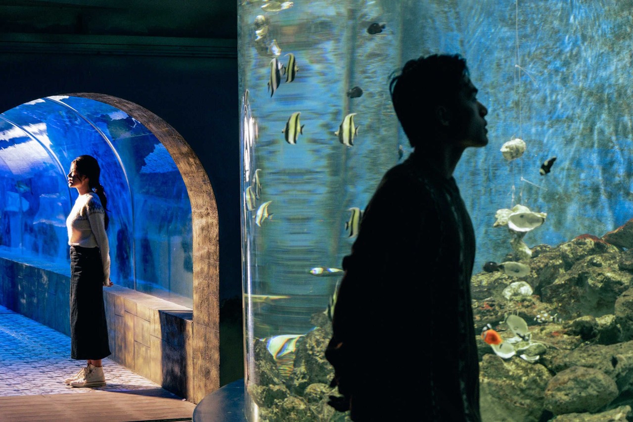 Visit The 100-Year-Old Oceanography Museum In Nha Trang Visit The 100-Year-Old Oceanography Museum In Nha Trang