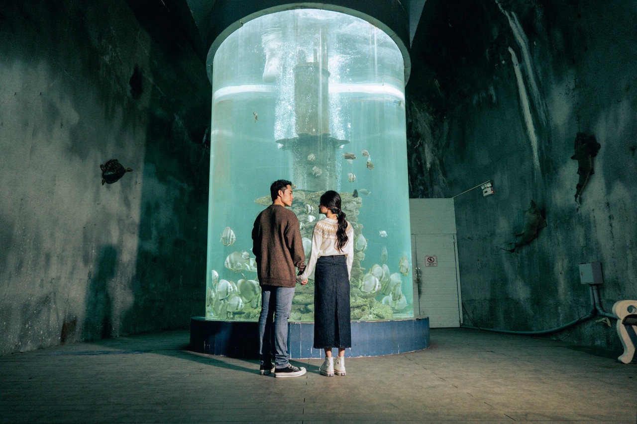 Visit The 100-Year-Old Oceanography Museum In Nha Trang Visit The 100-Year-Old Oceanography Museum In Nha Trang