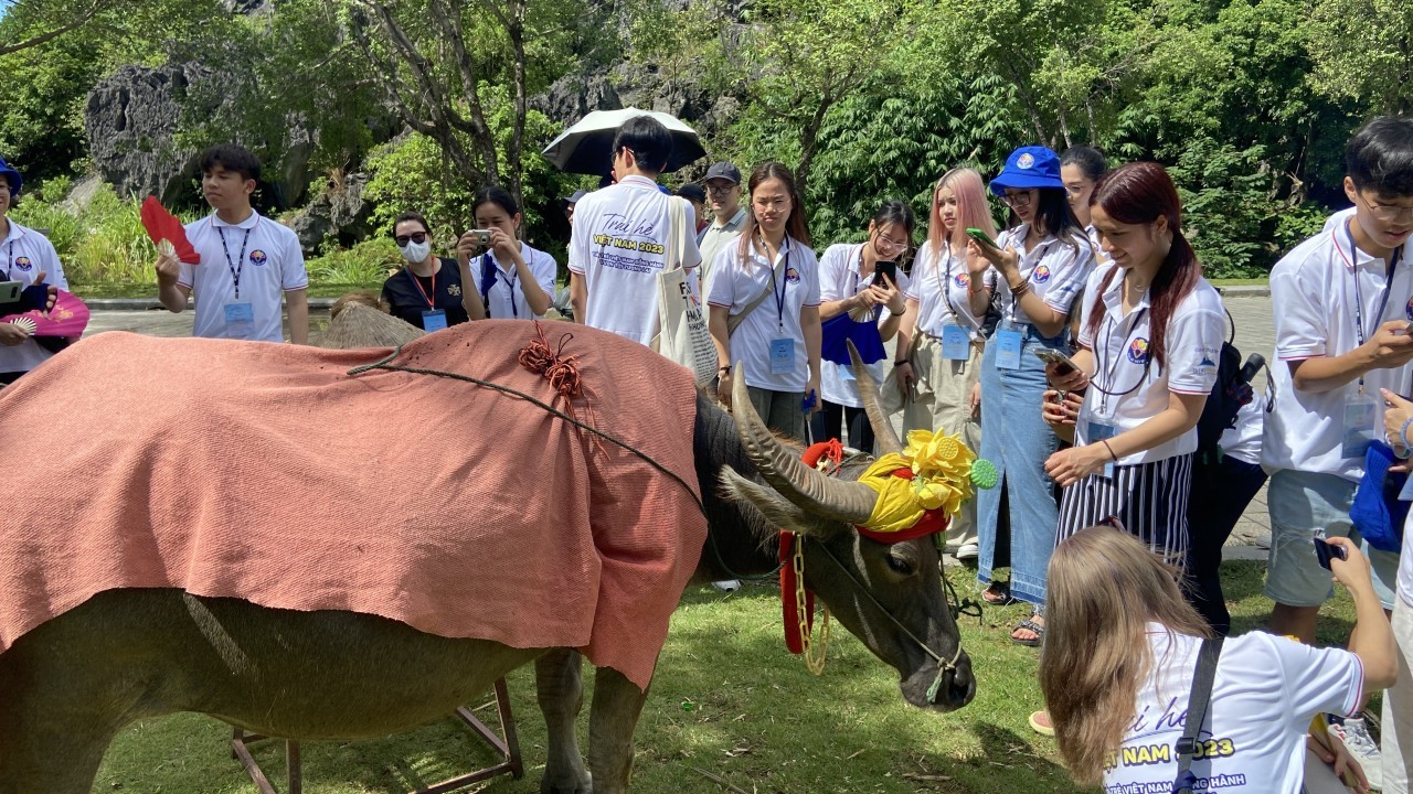 OV Youths Enjoy Special National Landscape Site of Trang An Overseas Vietnamese Youths Enjoy Special National Landscape Site of Trang An